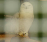 DSC04629.jpg