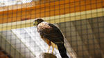 DSC04633.jpg