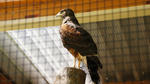 DSC04634.jpg