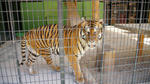DSC04667.jpg