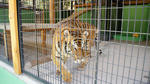 DSC04693.jpg
