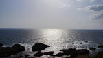 DSC05034.jpg