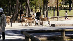 DSC05063.jpg