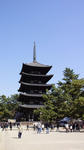 DSC05092.jpg