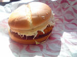 201003201537000.jpg