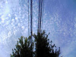 Image431.jpg