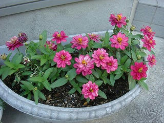 s-DSC04228.jpg