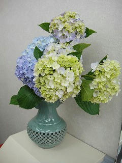 s-DSC05257.jpg
