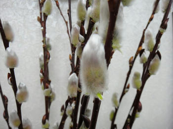 s-DSC07712.jpg