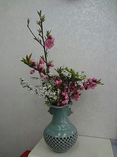 s-DSC03456.jpg