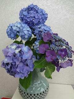 s-DSC07947.jpg