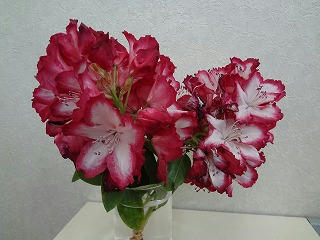 s-DSC02088.jpg