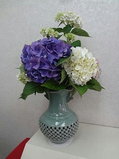 s-DSC03096.jpg