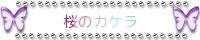 桜のカケラ：美都珠様
