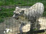 IMGP0095.jpg