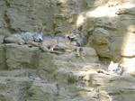 IMGP0112.jpg