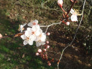 DSC03075.JPG