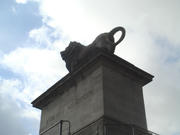 DSC03111.JPG1.jpg