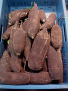 DSC03173.JPG1.jpg