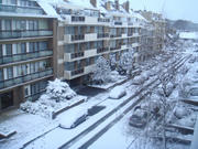 DSC03483.JPG