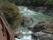 DSC03513.JPG