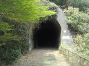 DSC03541.JPG