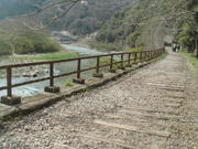 DSC03566.JPG