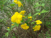 DSC03563.JPG