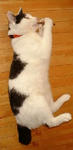 20115matatabi.jpg
