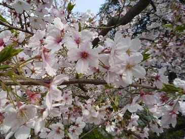 10.04.04.1.jpg