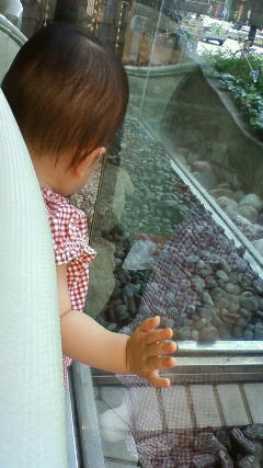 201007261512001.jpg