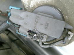 V9030111.JPG