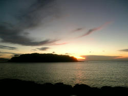 V9030109.JPG