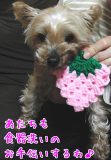 110410_02.JPG