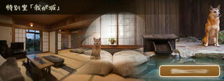 room_01.jpg