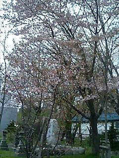 100509_1115~0001.jpg
