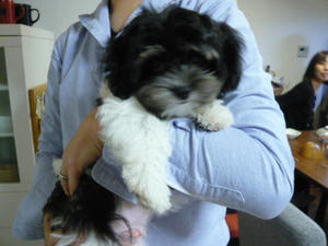 20111029_000001_03.JPG