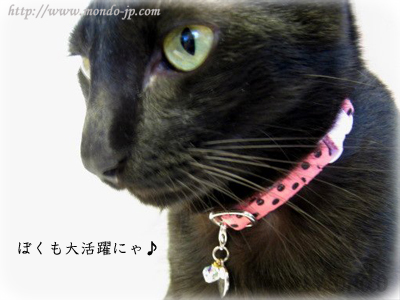 meg*neco(メグネコ) オリジナル猫ちゃんの手づくり首輪です。 猫 アクセサリー CAT 猫グッズ Mondoオリジナル商品 関西圏大阪の拘りシルバーアクセサリーセレクトショップMondo(モンド)