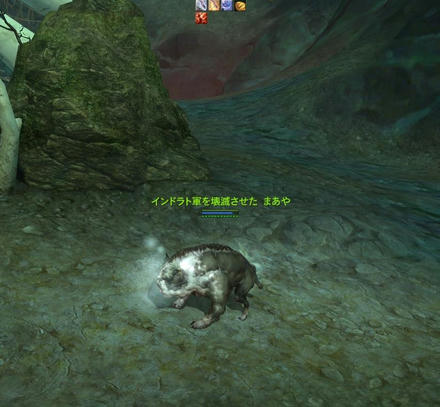 か、かわいい・・・