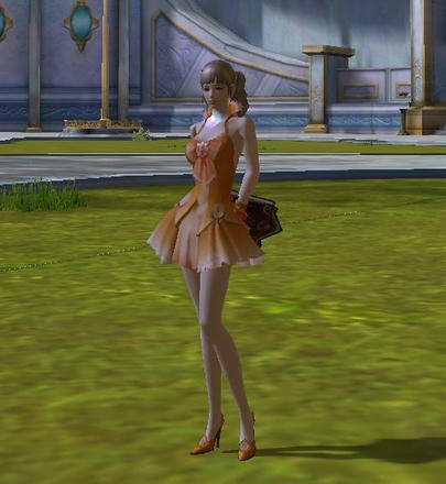 ３０フルディバ＋武器ですん