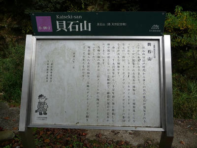 kai-05.jpg