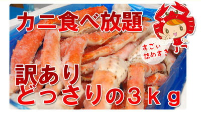 abura_wakeari30_02.jpg