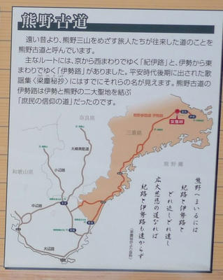 kuma022.jpg