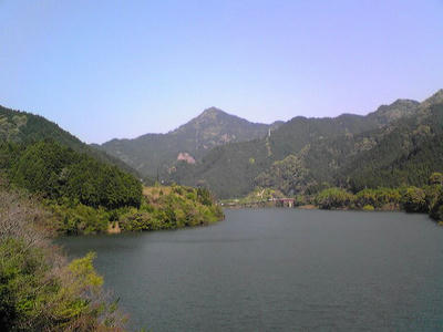 syaku-2.jpg