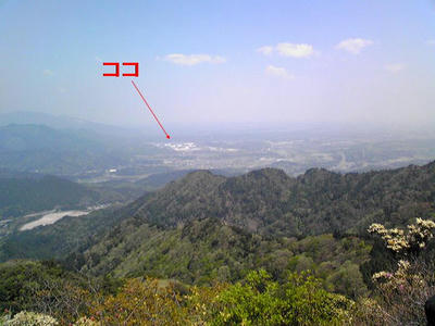 syaku-4.jpg