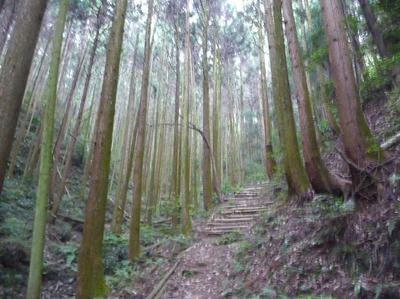 hakumai-03.jpg