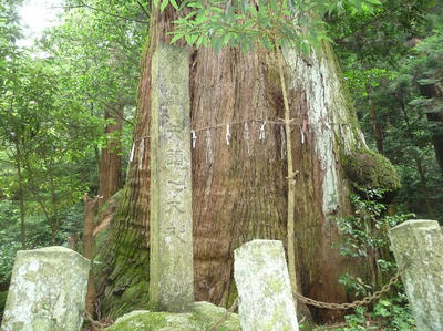 yadu-2.jpg