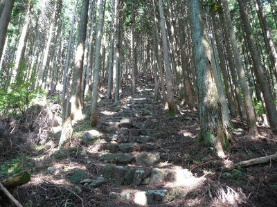 nobori.jpg
