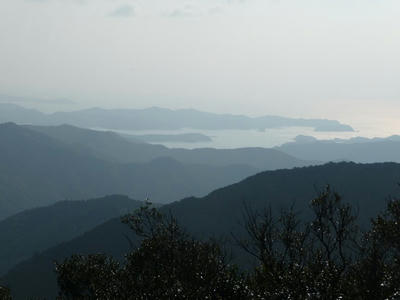 usikusa-3.jpg