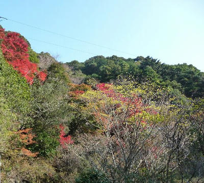 usikusa-5.jpg